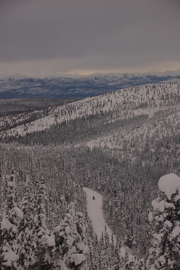 Yukon Arctic Ultra20132013-02-1021-49-22.jpg